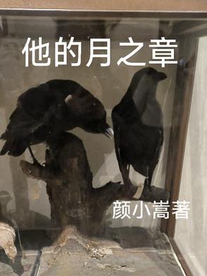 他的月光白